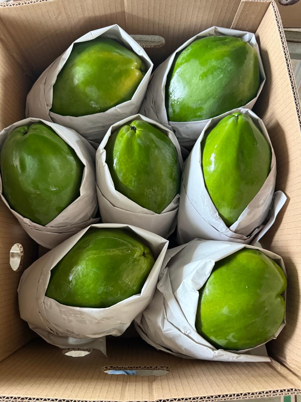Caja con 7 papayas — calibre 7 — Viva Papaya